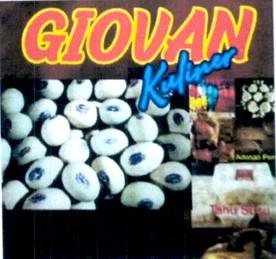 Trademark GIOVAN KULINER