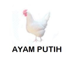 Trademark AYAM PUTIH + LUKISAN