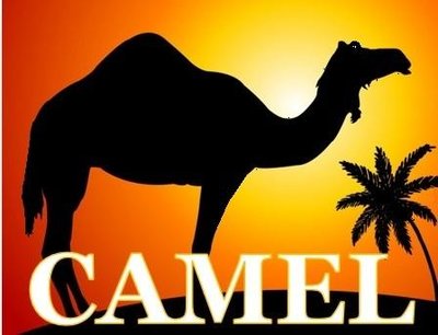 Trademark CAMEL + Lukisan