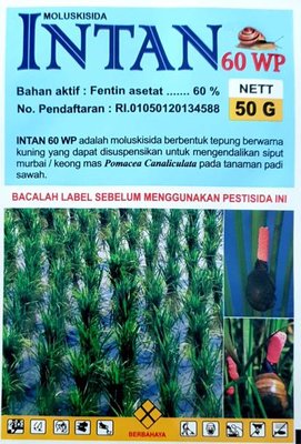 Trademark INTAN 60 WP MOLUSKISIDA