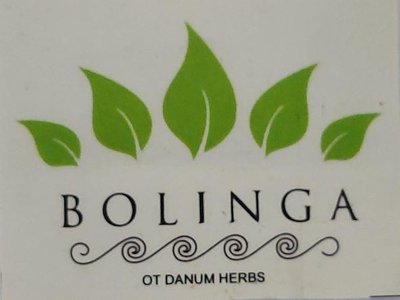 Trademark BOLINGA