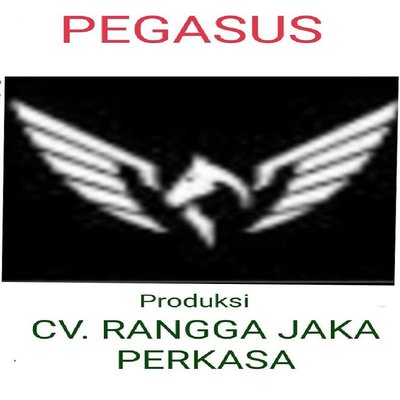 Trademark Pegasus