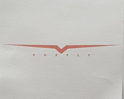 Trademark VOXFLY