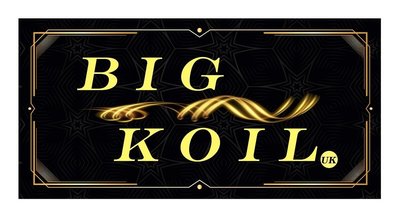 Trademark BIG KOIL