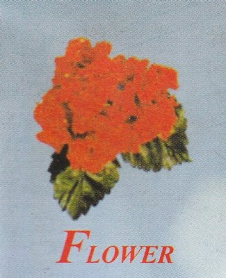 Trademark Flower