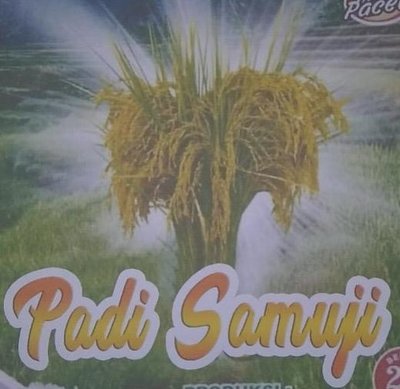 Trademark Padi Samuji