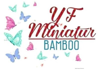 Trademark YF MINIATUR BAMBOO