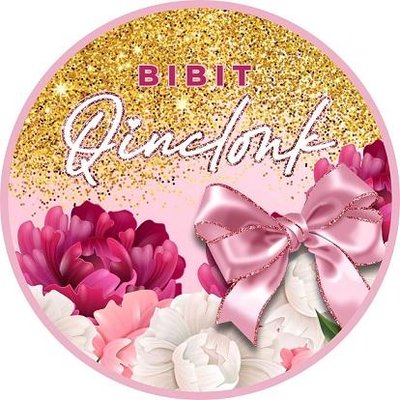 Trademark BIBIT QINCLONK