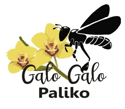 Trademark GALO GALO PALIKO