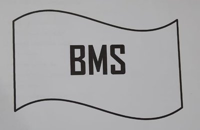 Trademark BMS + LOGO