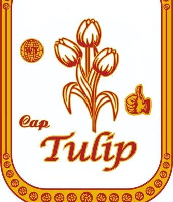 Trademark Tulip