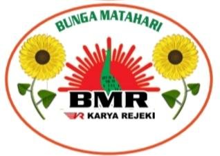 Trademark BMR + Logo