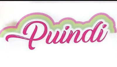 Trademark PUINIDI