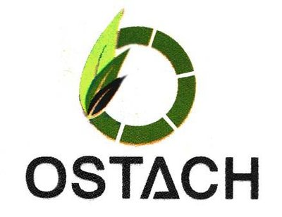 Trademark OSTACH + LOGO