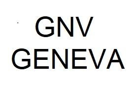 Trademark GNV Geneva: suatu penamaan.