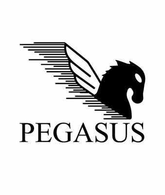 Trademark PEGASUS + LOGO