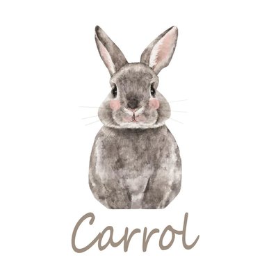 Trademark Carrol