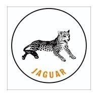 Trademark JAGUAR + LUKISAN