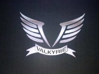 Trademark VALKYRIE + LOGO