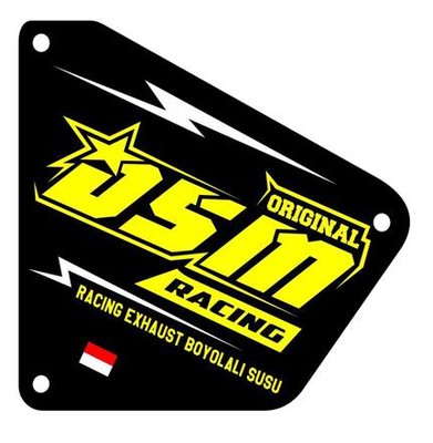 Trademark DSM RACING