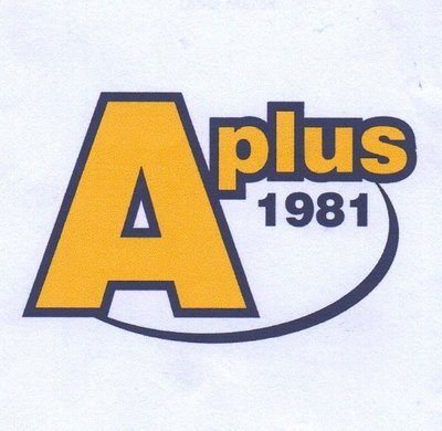 Trademark Aplus1981 + LOGO