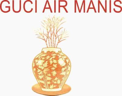 Trademark GUCI AIR MANIS