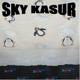 Trademark SKY KASUR