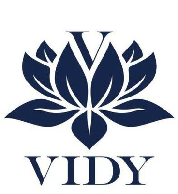 Trademark VIDY + LOGO