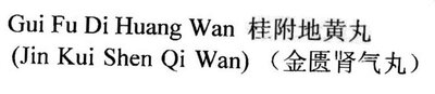 Trademark GUI FU DI HUANG WAN (JIN KUI SHEN QI WAN) + KARAKTER HURUF NON LATIN