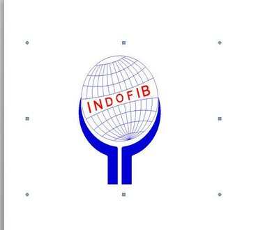 Trademark INDOFIB