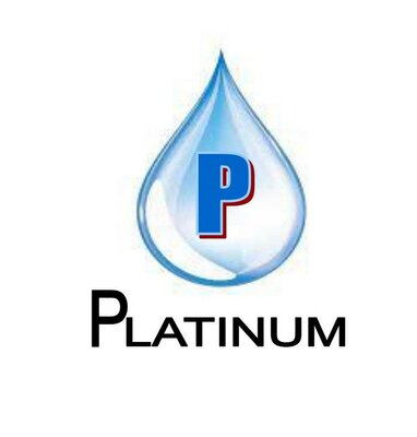 Trademark P PLATINUM