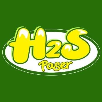 Trademark H2S PASER