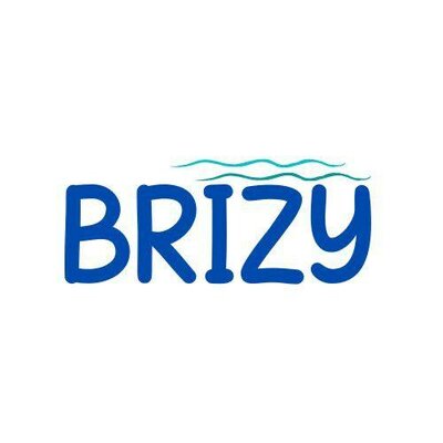 Trademark BRIZY + LOGO