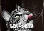 Trademark LOVE SAND