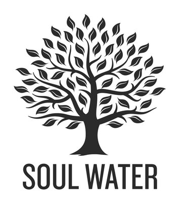 Trademark SOUL WATER