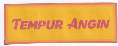 Trademark TEMPUR ANGIN