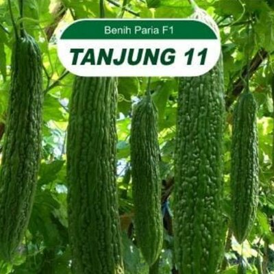 Trademark BENIH PARIA 1 TANJUNG 11