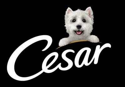 Trademark CESAR & logo