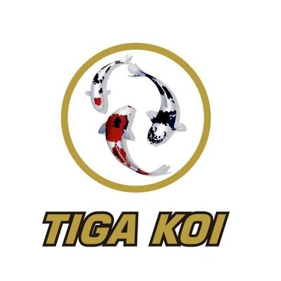 Trademark TIGA KOI