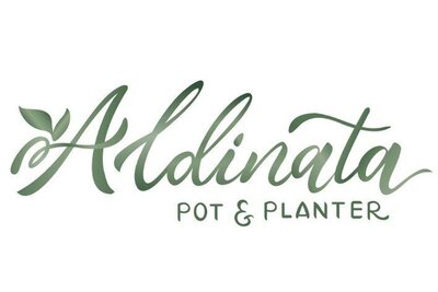 Trademark Aldinata POT & PLANTER