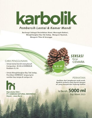 Trademark Karbolik