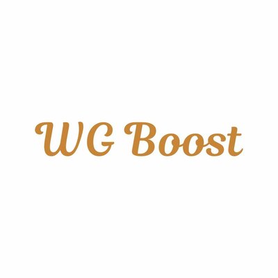 Trademark WG BOOST