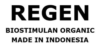 Trademark REGEN