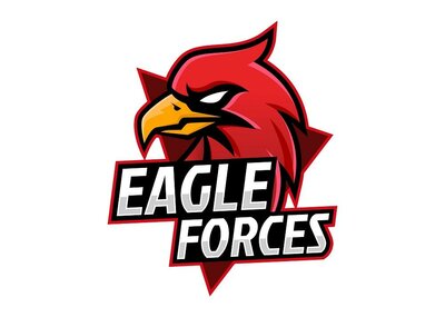 Trademark EAGLE FORCES