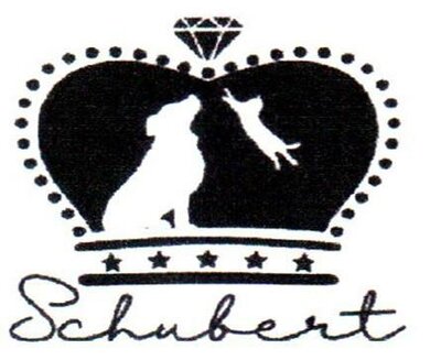 Trademark SCHUBERT + LOGO