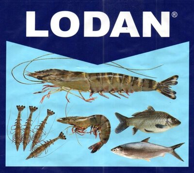 Trademark LODAN