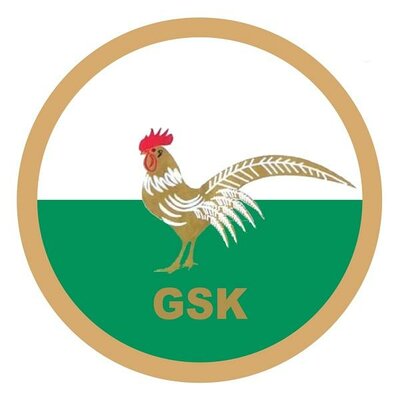 Trademark GSK + LOGO