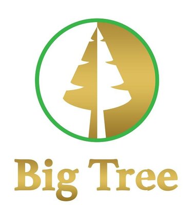 Trademark BIG TREE