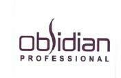 Trademark Obsidian Professional