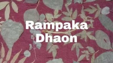 Trademark RAMPAKA DHAON